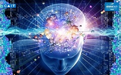 Solución tecnológica: HISS. 